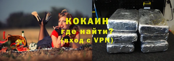 меф Няндома