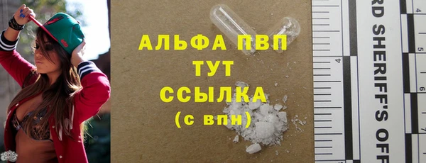 индика Алексин