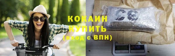 индика Алексин
