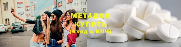 индика Алексин