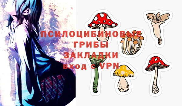 бутират Нязепетровск