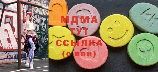 индика Алексин