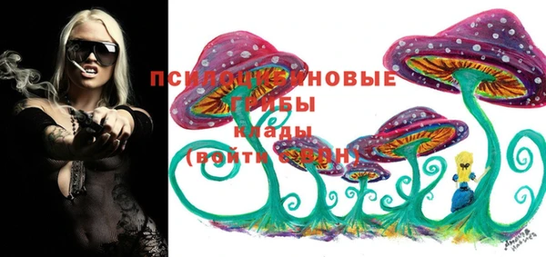 прущие грибы Алзамай