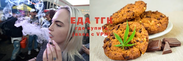 индика Алексин