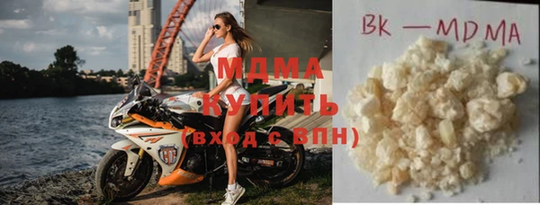 индика Алексин