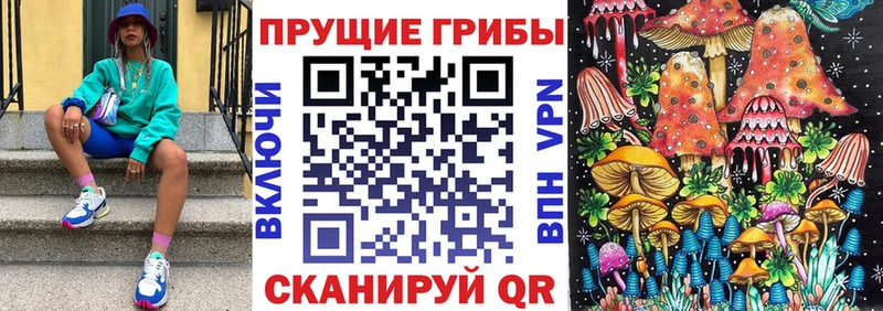 Псилоцибиновые грибы Cubensis  ссылка на мегу tor  Бердск 
