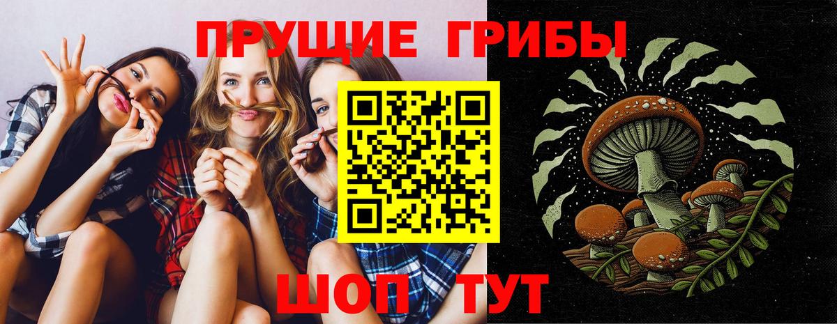 Псилоцибиновые грибы MAGIC MUSHROOMS Бердск