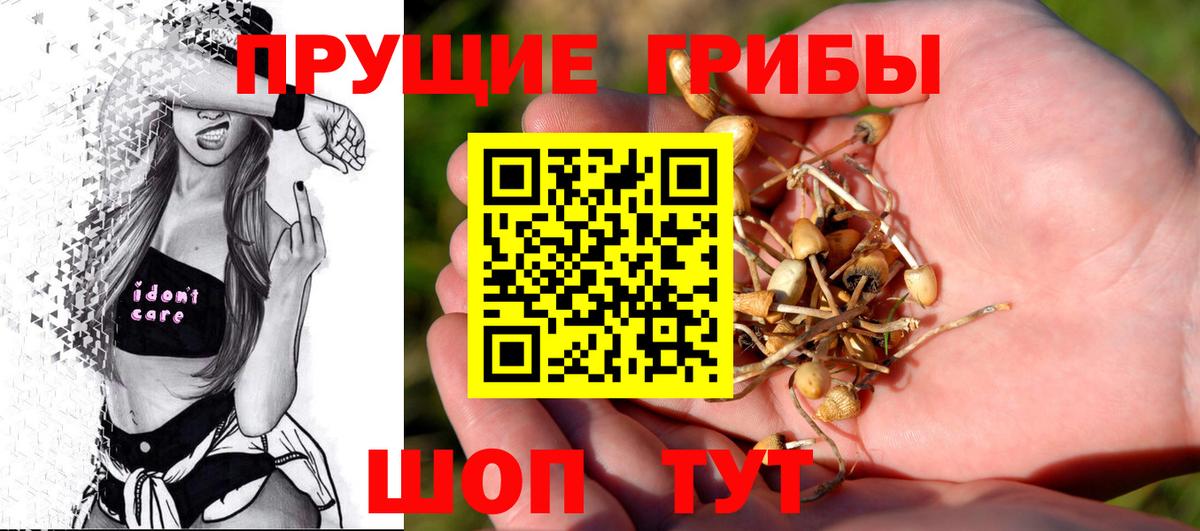 Псилоцибиновые грибы Psilocybe  Псилоцибиновые грибы мухоморы  Вход с VPN  Бердск 